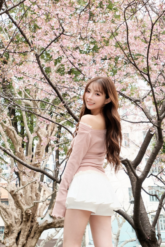 蜘蛛池在自动化站群系统中的角色