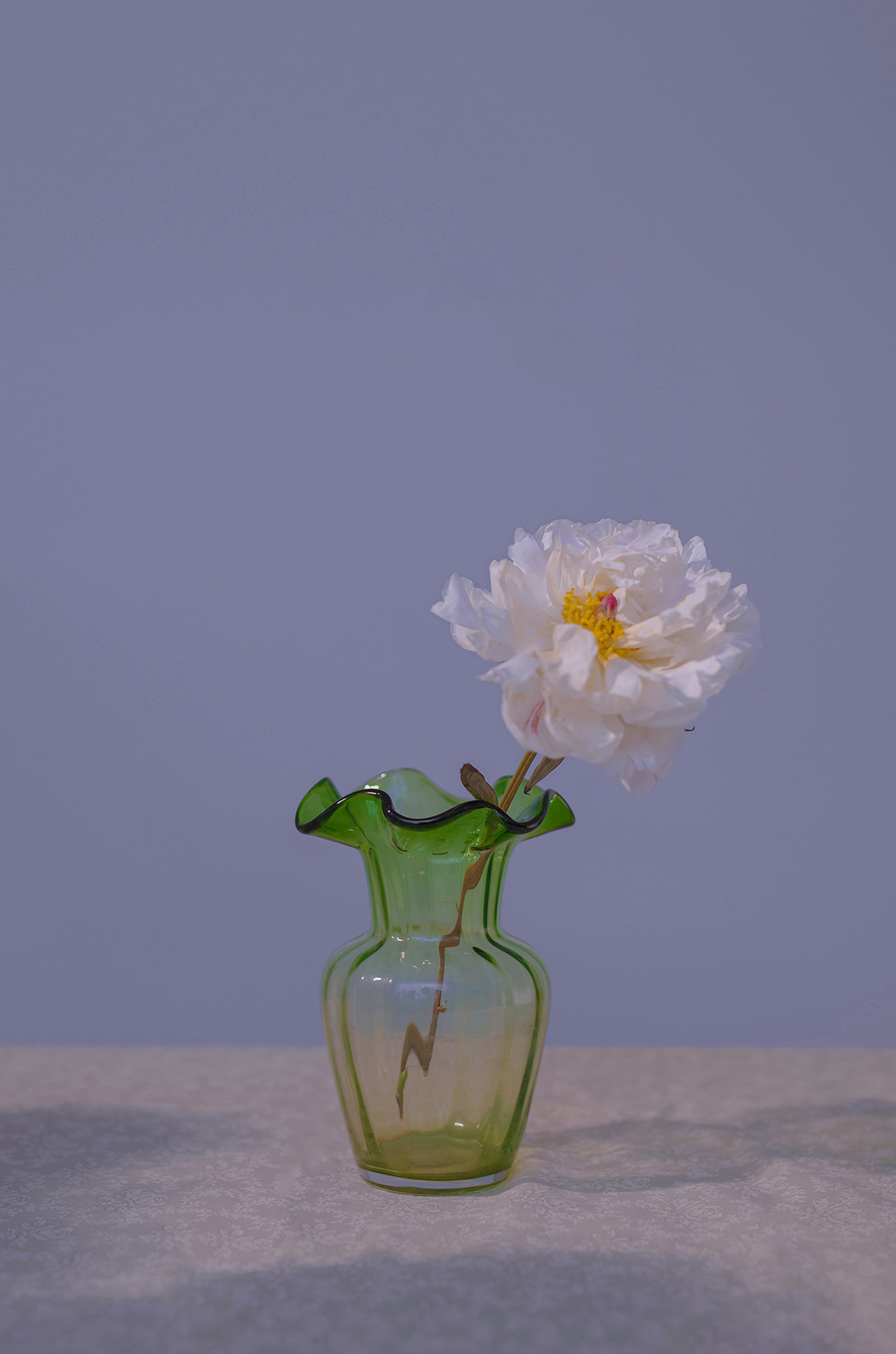 蜘蛛池如何避免对低质链接的误推？