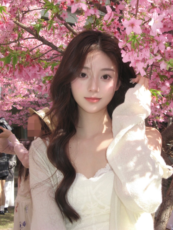 蜘蛛池在自动化站群系统中的角色