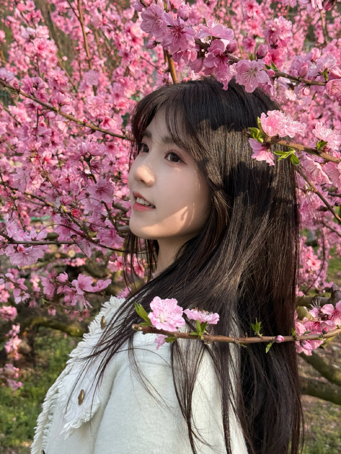 蜘蛛池和Schema结构化数据的配合