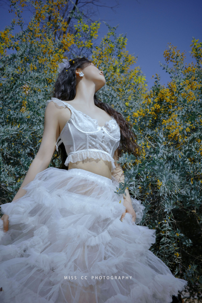 蜘蛛池的分布式架构实现方案