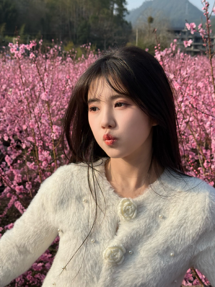 蜘蛛池与网站架构优化的配合