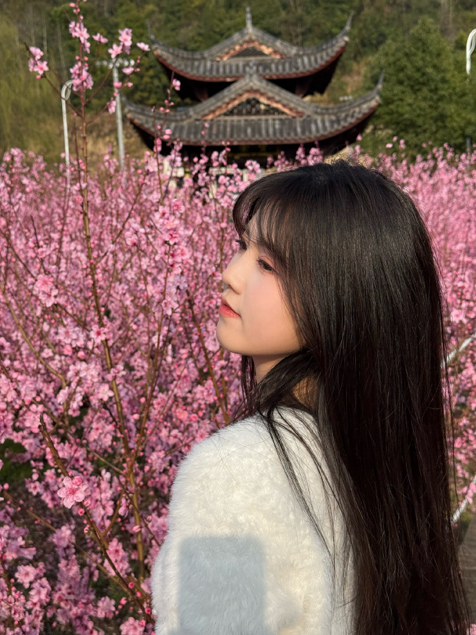 蜘蛛池如何提升内容页参与排名的可能性