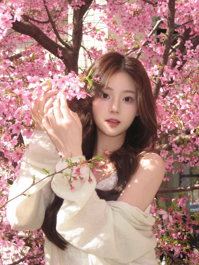 蜘蛛池对外语站点SEO的实战意义