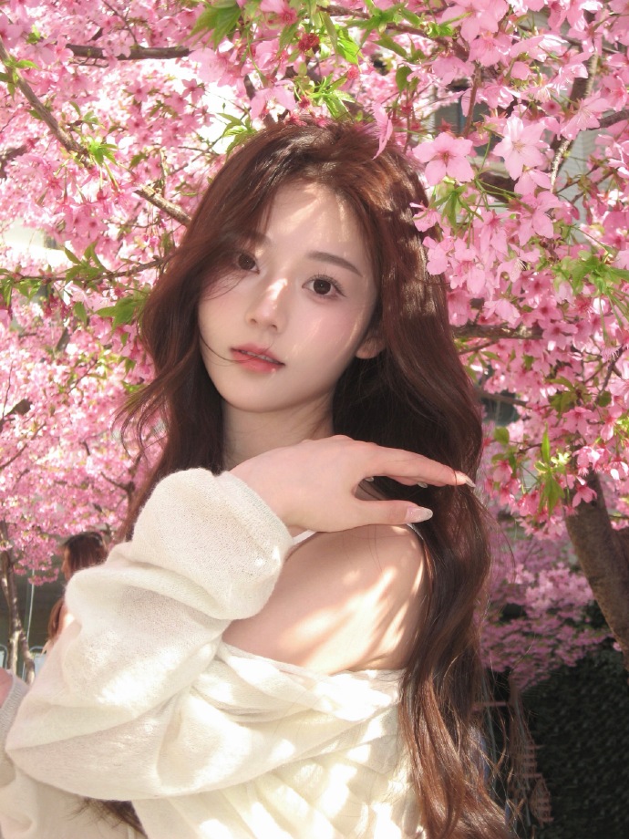 网站降权后，蜘蛛池还能用吗？