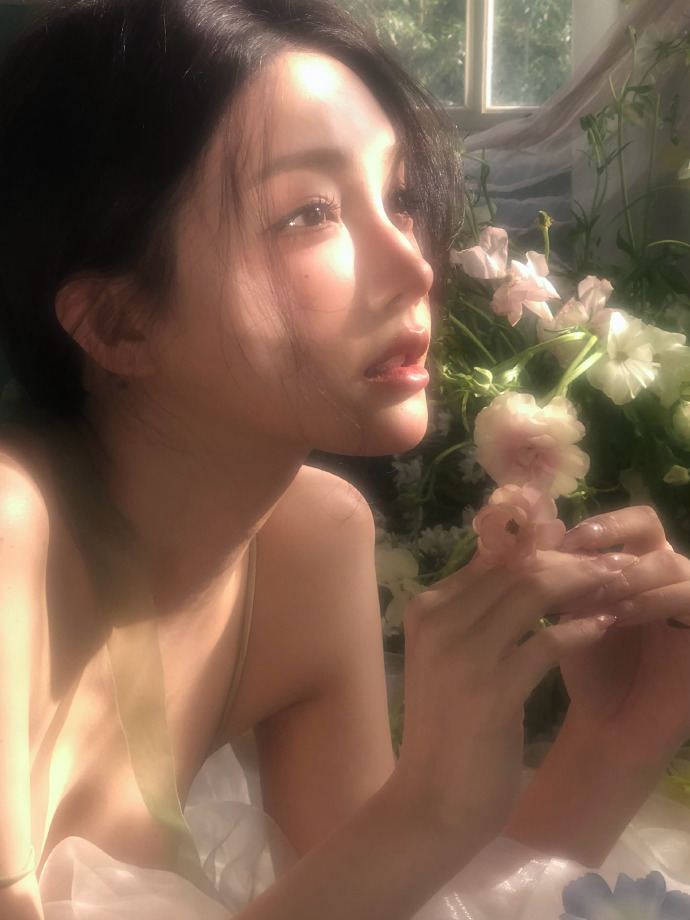 蜘蛛池在泛解析中的实战价值