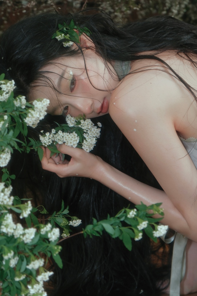 蜘蛛池的分布式架构实现方案