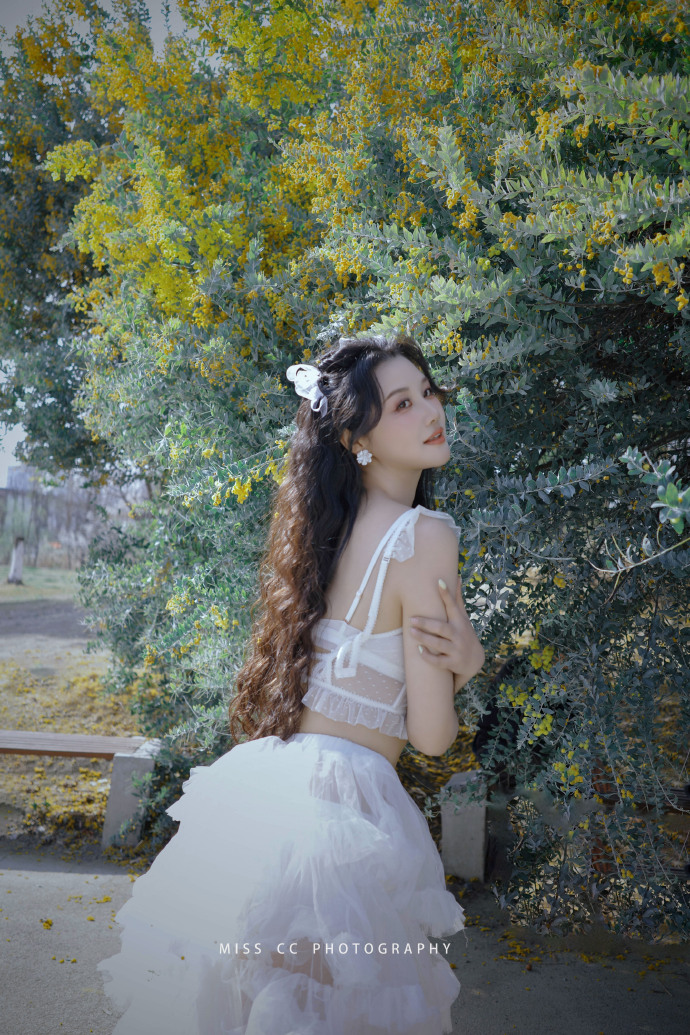 蜘蛛池是否能配合低频爬虫同步策略