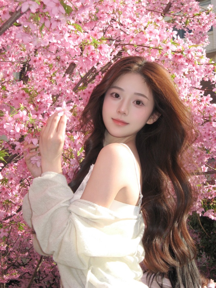 蜘蛛池在营销型网站SEO中的适配场景