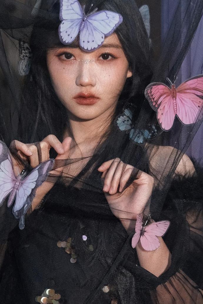 蜘蛛池的分布式架构实现方案