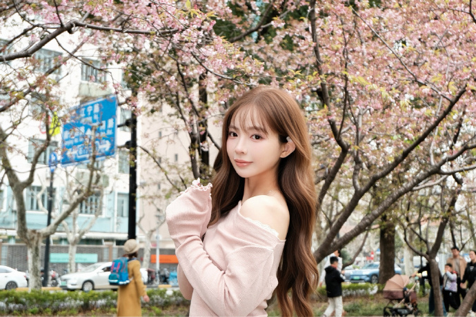 蜘蛛池和Schema结构化数据的配合