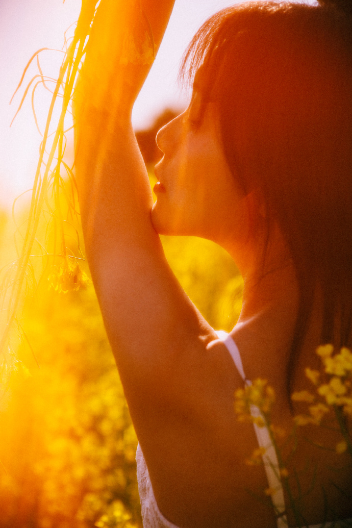 快速构建蜘蛛池的五个步骤